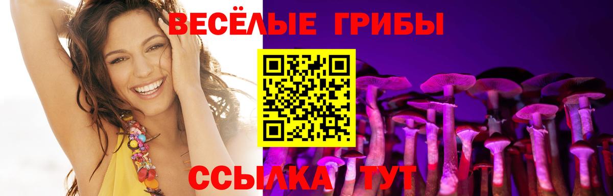 Псилоцибиновые грибы MAGIC MUSHROOMS  Псилоцибиновые грибы GOLDEN TEACHER  Вход с VPN  Черногорск 
